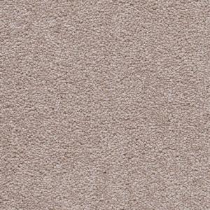 Cavalier Satin Gattar