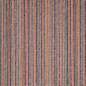 Elements Africa Collection Gecko