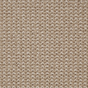 Telenzo Hoxton Shell Beach