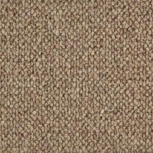 Telenzo King's Cross Foal