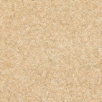 Brockway Lingdale Elite Leyburn