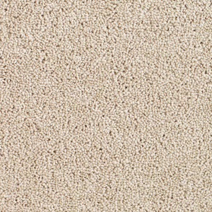 Cavalier Liberty Twist Oyster