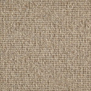 Telenzo London Bridge Chiton