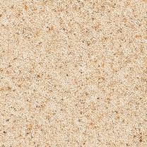 Brockway Orion Twist Major Canis