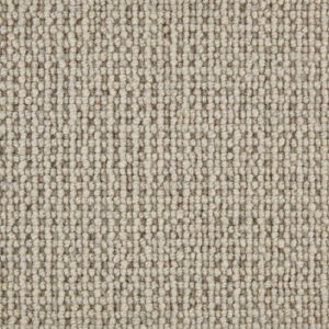 Telenzo Paddington Shrimp