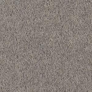 Cavalier Pennine Heather Holcombe