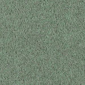 Cavalier Pennine Heather Ingleborough