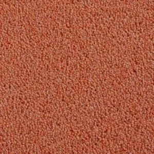 Cavalier Criterion Twist Ginger