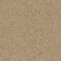 Brockway Rosedale Habton