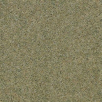 Brockway Rosedale Loose Howe