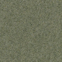 Brockway Rosedale Waterhouse Well