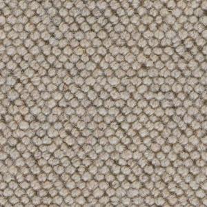 Cavalier Curlew Sandpiper