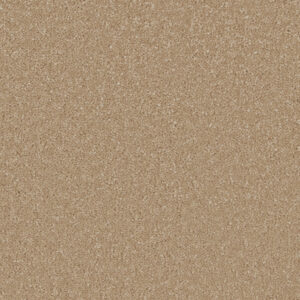 Cormar Soft deep pile Sensation Gazelle