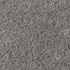 Cavalier Silken Lacrewing