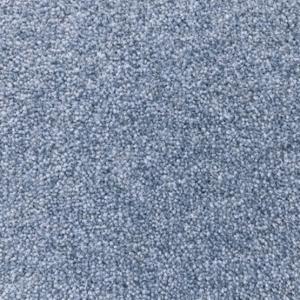 Cavalier Snowdon Burn