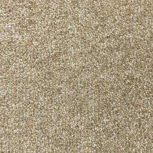 Cavalier Snowdon Dale