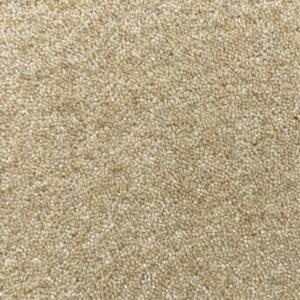 Cavalier Snowdon Fell