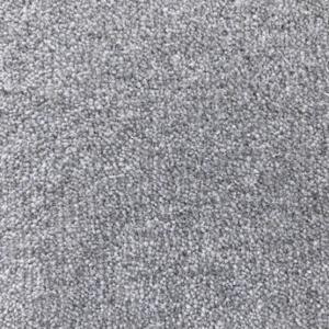 Cavalier Snowdon Glen