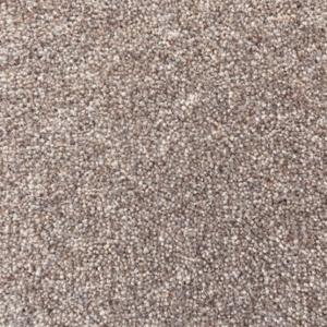 Cavalier Snowdon Health