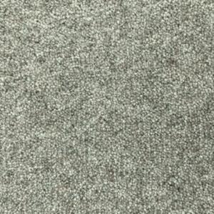 Cavalier Snowdon Moor