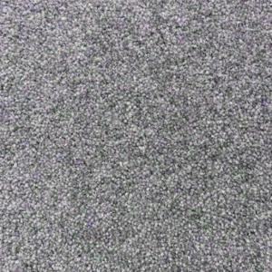 Cavalier Snowdon Tor