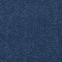 Brockway Solar Muscari