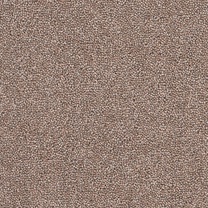 Brockway Solar Chinchilla