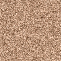 Brockway Solar Chamois