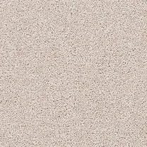 Brockway Solar Flax