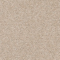 Brockway Solar Guacamole