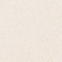 Brockway Solar Seashell