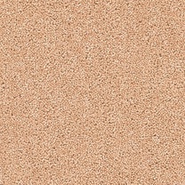 Brockway Solar Mustard