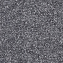 Brockway Solar Elephant