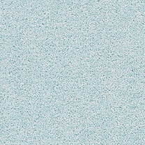 Brockway Solar Forget-Me-Not