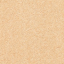 Brockway Solar Pollen