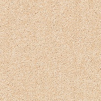 Brockway Solar Maize