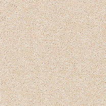 Brockway Solar Almond