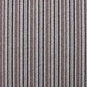 Cavalier Strata Graphite