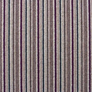Cavalier Strata Maroon