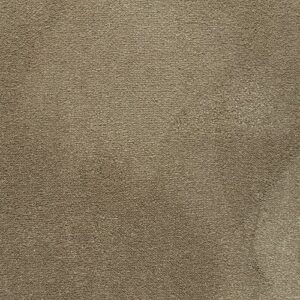 Elements Symphony Dresden