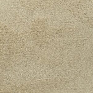 Elements Symphony Leningrad