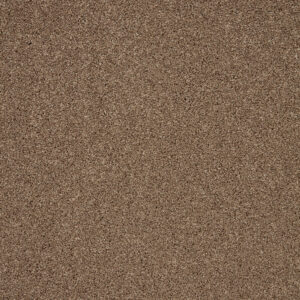 Cormar Trinity Autumn Trail