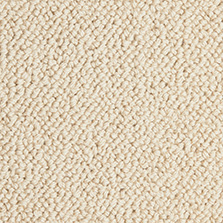 Westex Pure Luxury Grandeur Tusk