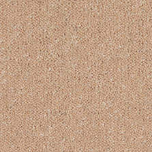 Westex Ultima Twist Almond