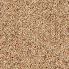 Westex Ultima Twist Brandysnap