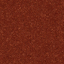 Westex Ultima Twist Burnt Orange