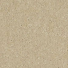 Westex Ultima Twist Celeriac