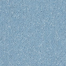 Westex Ultima Twist Cobalt