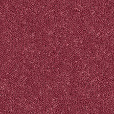 Westex Ultima Twist Dogwood