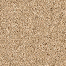 Westex Ultima Twist Honey